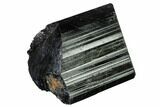 Terminated Black Tourmaline (Schorl) Crystal - Madagascar #172190-2